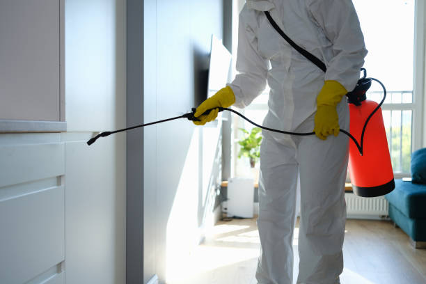  Somerset, KY Mold Removal Pros